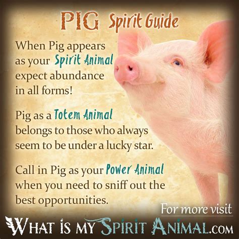Pig Meaning .
